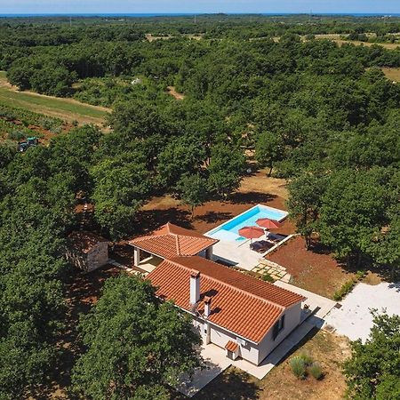 Villa Martinetinka Воднян Екстериор снимка
