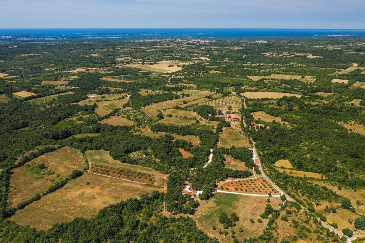 Villa Martinetinka Воднян Екстериор снимка