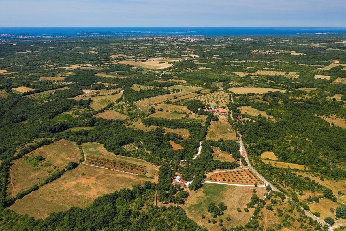 Villa Martinetinka Воднян Екстериор снимка