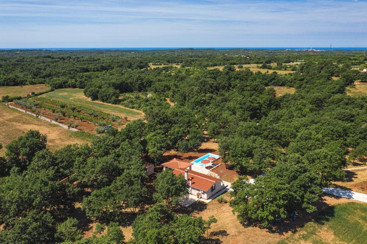Villa Martinetinka Воднян Екстериор снимка