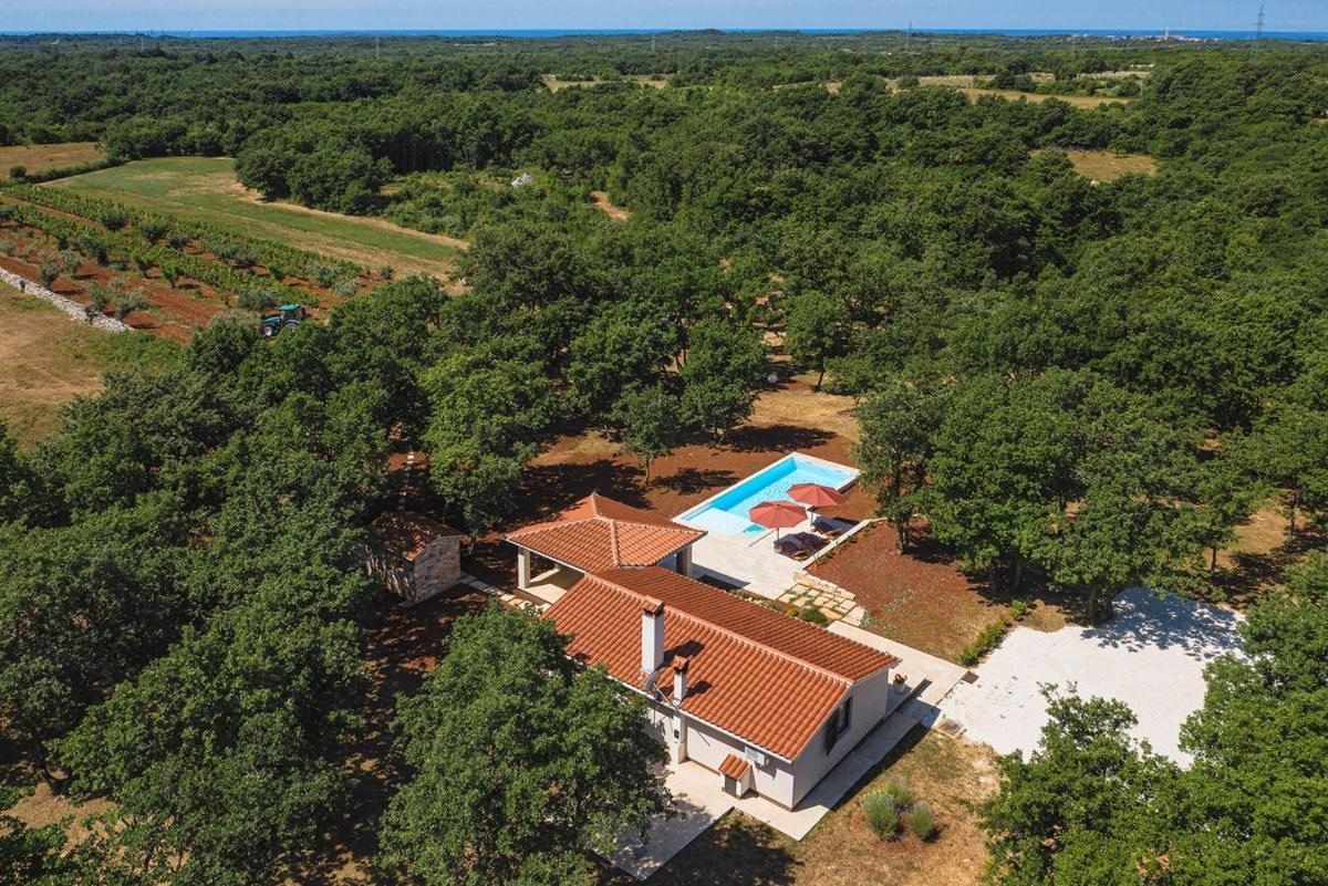 Villa Martinetinka Воднян Екстериор снимка