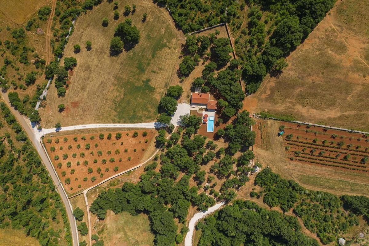 Villa Martinetinka Воднян Екстериор снимка