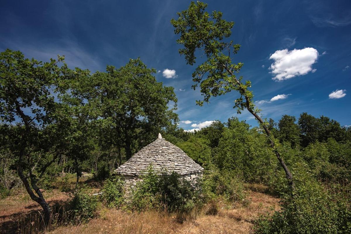 Villa Martinetinka Воднян Екстериор снимка