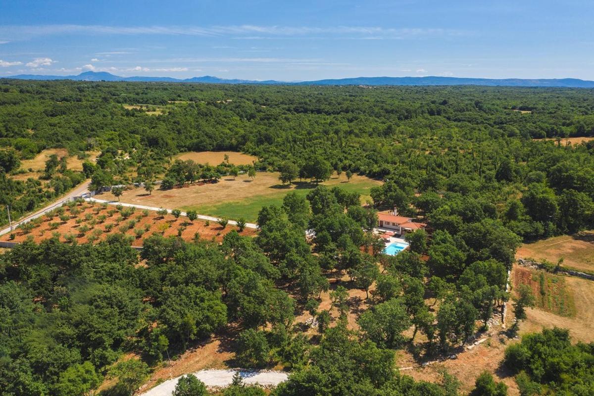 Villa Martinetinka Воднян Екстериор снимка